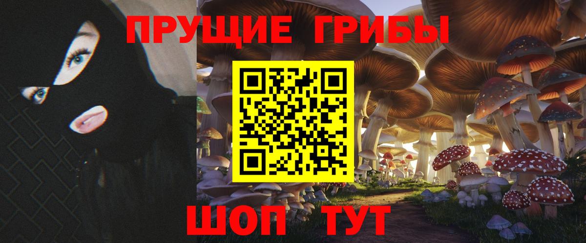 дарнет шоп  Галлюциногенные грибы Psilocybe  Вход с VPN  Октябрьский 